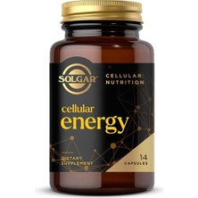 Asitan Solgar Cellular Energy, 14 Kapsül, Enerji ve Dayanıklılık Takviyesi