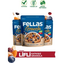 Asitan Granola - Yaban Mersini & Kuruyemiş 200G - 3'lü Paket