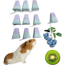 Asitan Ozzipetshop Tum Kemirgenler Icin Meyveli Mineralli Kemirme Tasi 10 Adet