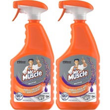 Asitan Mutfak Spreyi Turunç Bahçesi 750 ml 2 Paketi