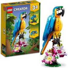 Asitan Creator Egzotik Papağan 31136 | 7 Yaş ve Üzeri Çocuklar Için Kurbağaya Dönüşebilen Oyuncak
