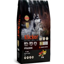 Asitan Tahılsız Yavru Köpek Maması Kuzulu 12KG