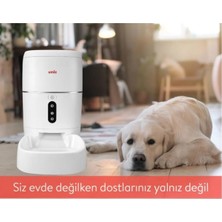 Asitan 6l Kapasiteli Sesli Mesaj Otomatik Yem Kabı Wifi+Bt Tuya Destekli Kedi Köpek Besleyici