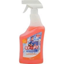 Asitan Stop Forte Cam Temizleyici Sprey 750 ml