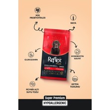Asitan Plus Orta ve Büyük Irklar Için 7+ Yaş Üzeri Kuzu Etli Yaşlı Köpek Maması 12 kg