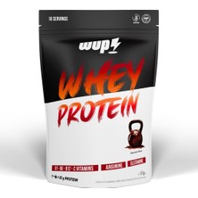 Asitan Whey Protein, B1-B6-B12-C, Arjinin, Glutamin, Doğal Kakao, Çikolata, 576 gr 16 Servis