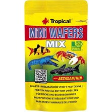 Asitan Tropical Mini Wafers Mix 18GR Vatoz ve Çöpçü Balığı Yemi