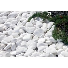 Asitan Ekodoğa Beyaz Dolomit 10 kg 6-10 cm Taş Dekoratif Taş Dere Taşı Bahçe Süs Taşı
