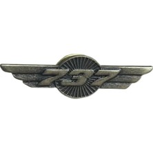 Asitan Brove B 737