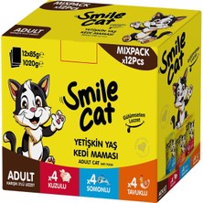 Asitan Cat Pouch Mix 12 Adet x 85 gr Kuzu/somon/tavuklu