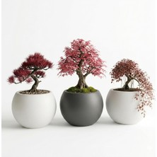Asitan Zevli Japandi Tarzı Modern Küre Saksı 3'lü Set - Su Sızdırmaz Dekoratif Salon ve Balkon Saks�