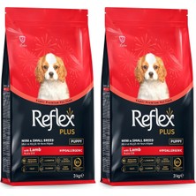 Asitan Plus Kuzu Etli Mini ve Küçük Irk Yavru Köpek Maması 3 kg (2 Paketi)