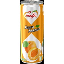 Asitan Meysu 330 Mililitre Teneke Kayısı Nektarı