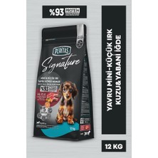 Asitan Signature Kuzulu Yavru Köpek Küçük Irk - 12 kg