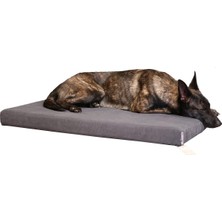 Asitan Arya Serisi Ortopedik Premium Kedi ve Köpek Yatağı 80X60 cm