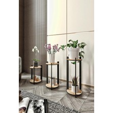 Asitan Çoklu Bitki Standı Seti 3'lü Saksılık Dekoratif Çok Katlı Çiçek Sehpası Salon Balkon Ofis