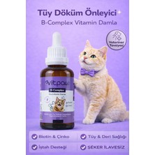 Asitan B Complex Damla 50 Ml. (Kediler Için Tüy Dökülmesi Engelleyici, Deri ve Tüy Sağlığı B�