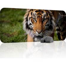Asitan Karadeniz Kaplanı Oyuncu Gaming Mouse Pad Kauçuk Kaymaz Taban Mousepad (V4, 70X30 Xl)