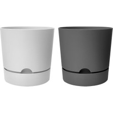 Asitan Begonya Saksı Tabaklı Drenajlı Mat Plastik Çiçek Saksısı (2 Adet, 1,8 Litre, 15CM, Beyaz&gri)