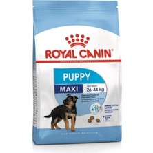 Asitan Maxi Puppy Büyük Irk Yavru Köpek Maması 15 Kg, 31802550732055