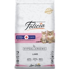 Asitan Kuzu Etli Hypoallergenic Kitten & Mather Anne Yavru Kedi Maması 2 kg