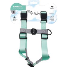 Asitan Gentle Dog Göğüs Tasması Green (M)