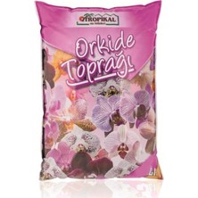 Asitan So-Itopo Özel Vitaminli Orkide Toprağı 2 Litre