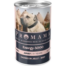 Asitan Energy 5000 Yetişkin Köpekler Için Biftekli Konserve Yaş Mama, 36LI Koli 400 gr