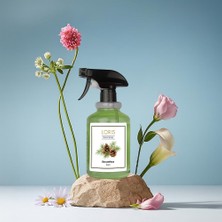 Asitan Çam/sanawbar Sprey Oda Kokusu 500 ml