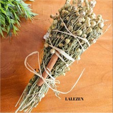 Asitan Üzerlik Otu- Üzerlik Demet Iki Adet - Üzerlik Tütsüsü (2 Adet)