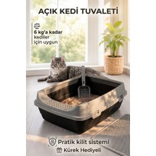 Asitan Açık Kedi Tuvaleti, 50X37X17 Cm, Yüksek Kenarlı Kedi Tuvalet Kabı, Kum Küreği Hediyeli