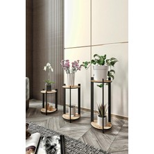 Asitan Çoklu Bitki Standı Seti 3'lü Saksılık Dekoratif Çok Katlı Çiçek Sehpası Salon Balkon Ofis