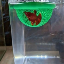 Asitan Woof Akvaryum Beta Balığı Saklanma Alanı,yüzen Mağara 8 cm