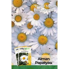 Asitan Patika Botanik 100 Adet Alman Papatya Tohumu