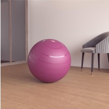 Asitan Domyos Gym/pilates Topu, 65 Cm, M Boy, Bordo