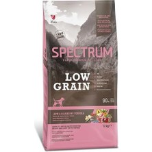 Asitan Lg Kuzu Yaban Mersini Orta Irk Yavru Köpek 12 kg