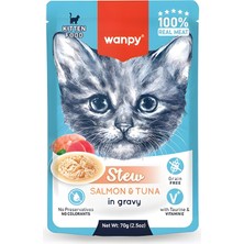 Asitan Pouch Somonlu ve Ton Balıklı Yaş Kedi Maması 70GR