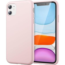 Asitan Apple iPhone 12/12 Pro ile Uyumlu Içi Kadife Dışı Mat Yapıya Sahip Koruma Sağlayan Lansman Si