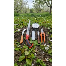 Asitan 6 Parça Profesyonel Bahçe Aşı Seti / Testere, Macun, Bıçaklar & Bağ Makası