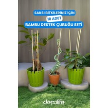 Asitan Depolife Bitki Fidan Saksı Destek Kazığı 10 Adet 30CM Bambu Destek Çubuğu Seti