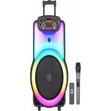Asitan Ndr Y-12 Full Rgb Panel 40 Watt Taşınabilir Büyük Boy Bluetooth Mikrofonlu Hoparlör