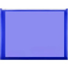 Asitan A4 Şeffaf Fermuarlı Dosya Mavi 1 Adet Pvc Fermuarlı Evrak Dosyası 24X34CM Çıtçıtlı Belge Ev