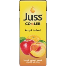 Asitan Juss Cooler Karışık 200 ml