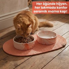 Asitan Premium 3'lü Evcil Hayvan Mama Kabı Seti 2 Adet Lüks Mermer Desenli Seramik Kase ve 1 Adet Oval �