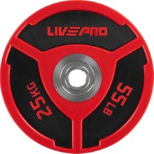 Asitan LP8027 25 kg Cpu Elite Bumper Plaka