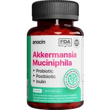 Asitan Akkermansia Probiyotik, 20 Kapsül