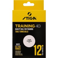Asitan Avessa Stıga Traınıng Pinpon Topu 12LI Beyaz 1110-2610-12