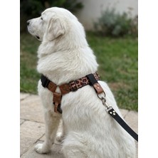 Asitan Köpek Göğüs Tasması Büyük & Dev Ayarlamalı Önden ve Sırttan Çekmeli Kolon Kordon Leopard