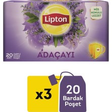 Asitan Adaçayı Bitki Süzen Poşet Çay 20LI x 3 Adet