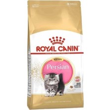 Asitan Persian Kitten Yavru Kedi Maması 2 kg